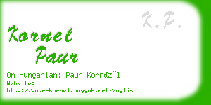 kornel paur business card